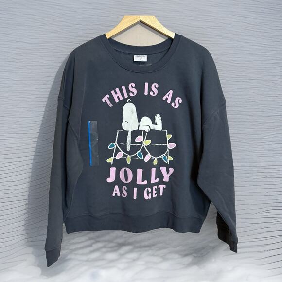 Grayson Threads Peanuts Holiday Sweatshirt, Dark Grey, NEW W TAGS ~ Large - Picture 1 of 8